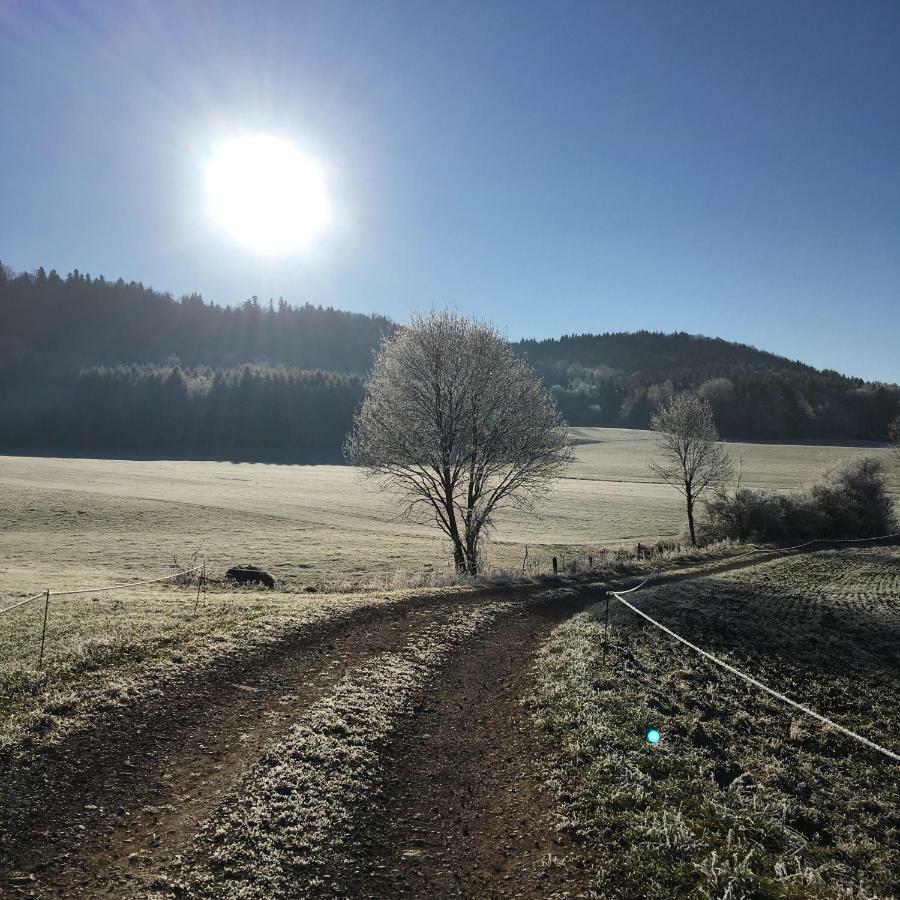 Gite La Janiat Montigny-sur-l'Ain Exterior foto
